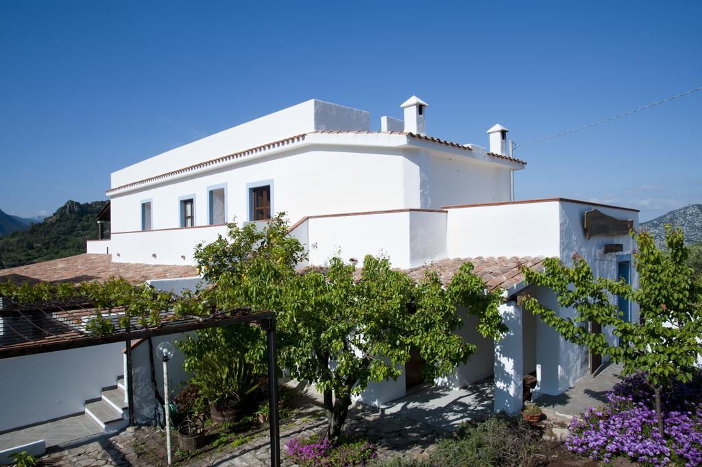 Turismo Rurale Belvedere Pradonos Dorgali Exteriér fotografie